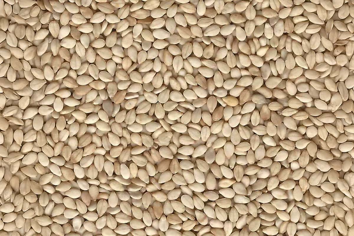 Sesame Seeds
