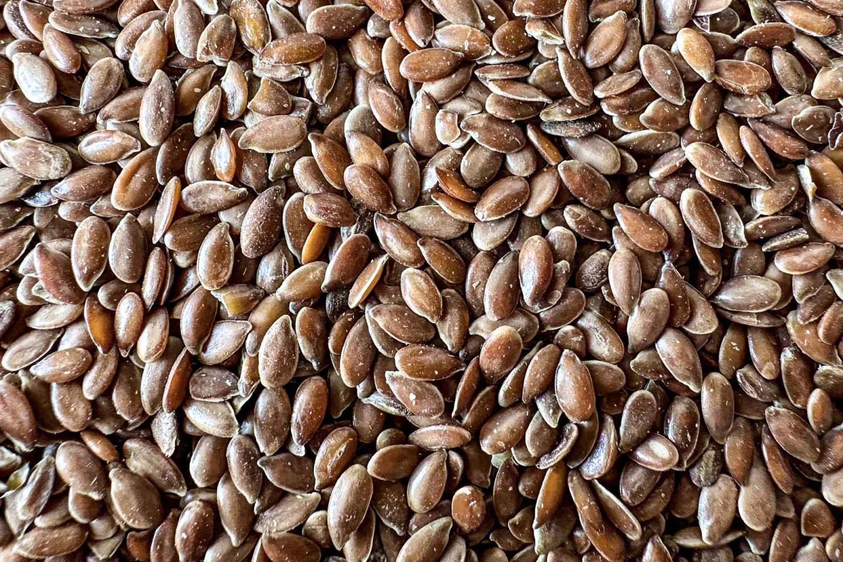 Flax Seeds