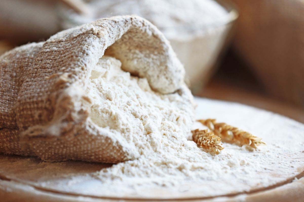 Bread Flour